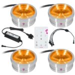Ape Labs ApeCoin V2 IP Set of 4 : Zoom sur le rendu lumineux : Avis & Test