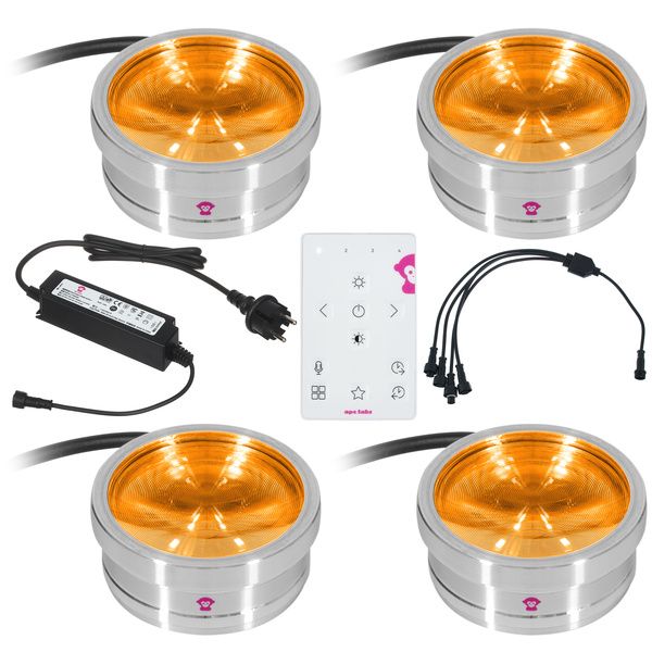 Ape Labs ApeCoin V2 IP Set of 4 : Zoom sur le rendu lumineux : Avis & Test