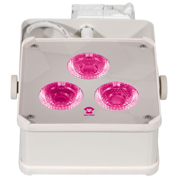 Ape Labs Track Maxi V2 15° RGBNW Creme : Avis sur la puissance et le rendu lumineux